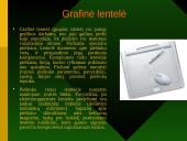 Informacijos įvedimo priemonės 11 puslapis