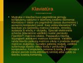 Informacijos įvedimo priemonės 3 puslapis