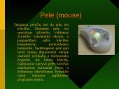 Informacijos įvedimo priemonės 8 puslapis