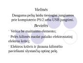 Informacijos įvesties įrenginiai: pelė ir klaviatūra 9 puslapis