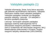 Informacijos laisvės ribojimas 11 puslapis