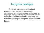 Informacijos laisvės ribojimas 14 puslapis