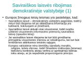 Informacijos laisvės ribojimas 4 puslapis