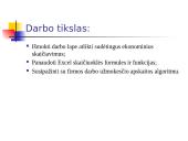 Informatika - sudėtingi ekonominiai skaičiavimai 3 puslapis