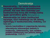 Institucinė aplinka 14 puslapis