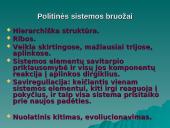 Institucinė aplinka 9 puslapis