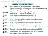 Intelektualieji tinklai. Kvietimo apdorojimo centrai 11 puslapis