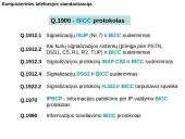 Intelektualieji tinklai. Kvietimo apdorojimo centrai 12 puslapis