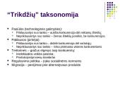 Interneto įtaka marketingo aplinkai 11 puslapis