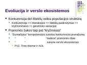 Interneto įtaka marketingo aplinkai 13 puslapis