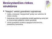 Interneto įtaka marketingo aplinkai 19 puslapis