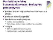 Interneto įtaka marketingo aplinkai 5 puslapis