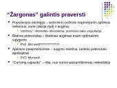 Interneto įtaka marketingo aplinkai 7 puslapis