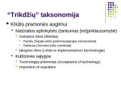 Interneto įtaka marketingo aplinkai 10 puslapis