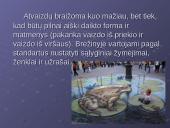 Inžinerinė grafika. Vaizdai 7 puslapis