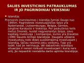 Islandijos socialinės ir ekonominės raidos ypatumai 4 puslapis
