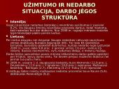 Islandijos socialinės ir ekonominės raidos ypatumai 9 puslapis