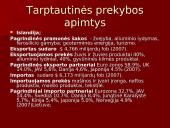 Islandijos socialinės ir ekonominės raidos ypatumai 10 puslapis