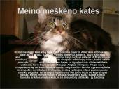 Įspūdingiausios kačių veislės 6 puslapis