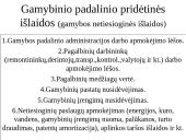 Išlaidų standartai (normatyvai) ir nukrypimų analizė 19 puslapis