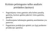 Išlaidų standartai (normatyvai) ir nukrypimų analizė 7 puslapis