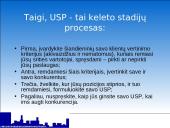 Išskirtinis pardavimo pasiūlymas (Unique Selling Proposition) 11 puslapis