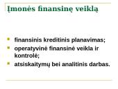 Įvadas į įmonės finansus 16 puslapis