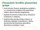 Įvadas į įmonės finansus 17 puslapis