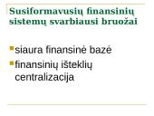 Įvadas į įmonės finansus 8 puslapis