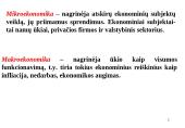 Įvadas į mikroekonomiką 4 puslapis