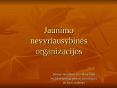 Jaunimo nevyriausybinės organizacijos