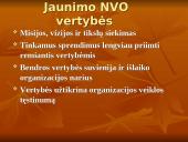 Jaunimo nevyriausybinės organizacijos 11 puslapis