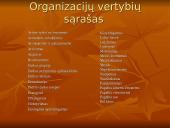 Jaunimo nevyriausybinės organizacijos 12 puslapis