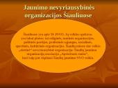 Jaunimo nevyriausybinės organizacijos 13 puslapis