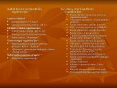 Jaunimo nevyriausybinės organizacijos 16 puslapis