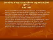 Jaunimo nevyriausybinės organizacijos 3 puslapis