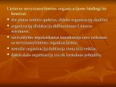 Jaunimo nevyriausybinės organizacijos 4 puslapis