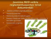 Jaunimo nevyriausybinės organizacijos 6 puslapis
