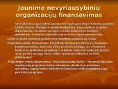 Jaunimo nevyriausybinės organizacijos 7 puslapis