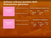 Jaunimo nevyriausybinės organizacijos 8 puslapis