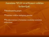 Jaunimo nevyriausybinės organizacijos 10 puslapis