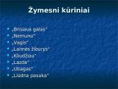 Jonas Biliūnas - ryški asmenybė 9 puslapis