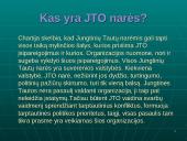 Jungtinių Tautų Organizacija (JTO) 11 puslapis