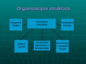 Jungtinių Tautų Organizacija (JTO) 13 puslapis