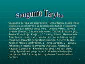 Jungtinių Tautų Organizacija (JTO) 16 puslapis