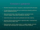 Jungtinių Tautų Organizacija (JTO) 17 puslapis