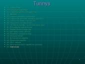 Jungtinių Tautų Organizacija (JTO) 3 puslapis