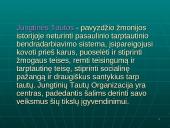 Jungtinių Tautų Organizacija (JTO) 5 puslapis