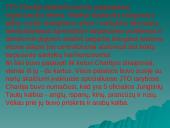 Jungtinių Tautų Organizacija bei jos struktūra 13 puslapis