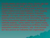 Jungtinių Tautų Organizacija bei jos struktūra 14 puslapis